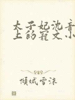 太子妃沈音和皇上的宠文小说