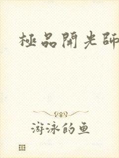 极品开光师