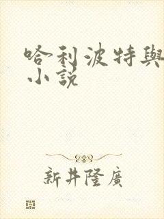 哈利波特与密室小说