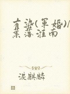 有染(军婚)/叶落淮南