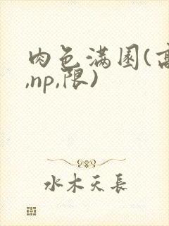 肉色满园(高h,np,限)