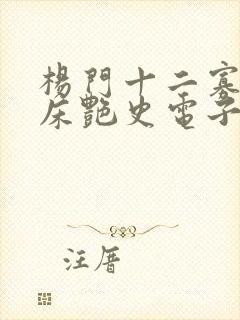 杨门十二寡妇肉床艳史电子书