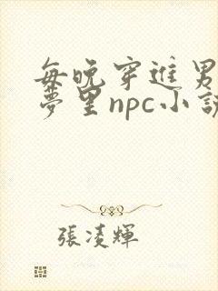 每晚穿进男神的梦里npc小说