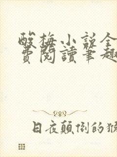 酸梅小说全文免费阅读笔趣阁