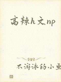 高辣h文np