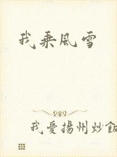 我乘风雪