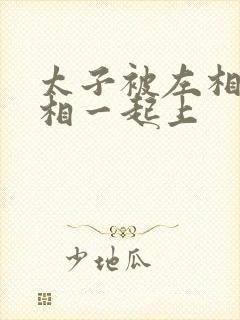 太子被左相和右相一起上