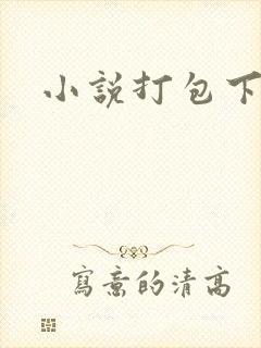 小说打包下载