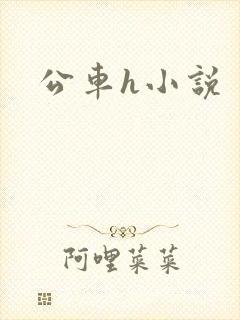 公车h小说