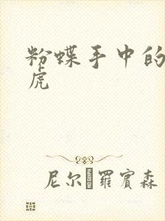 粉蝶手中的纸老虎