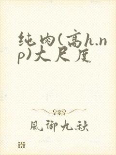 纯肉(高h.np)大尺度