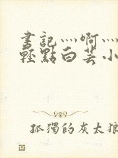 书记灬啊灬啊灬轻点白芸小说