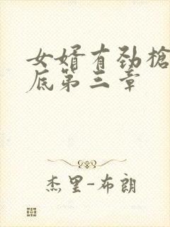 女婿有劲枪枪到底第三章