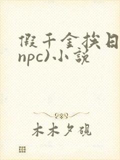 假千金挨日记(npc)小说