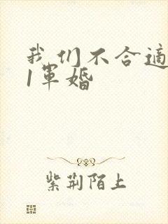 我们不合适1v1军婚