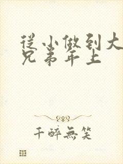 从小做到大骨科兄弟年上