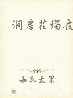 洞房花烛夜小说
