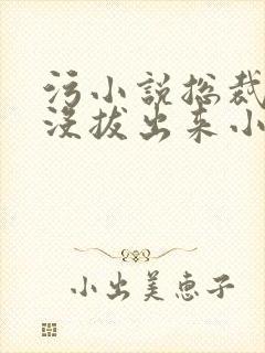 污小说总裁整夜没拔出来小说在线阅读