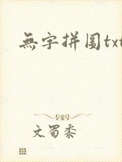 无字拼图txt