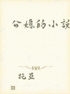 公媳的小说