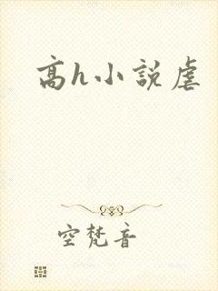 高h小说虐