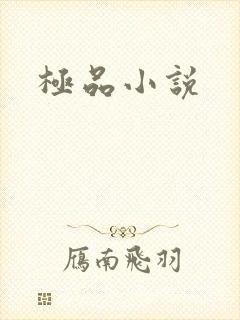 极品小说