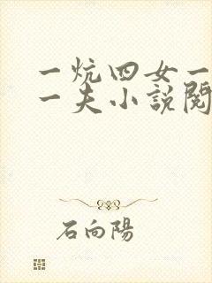 一炕四女一共侍一夫小说阅读