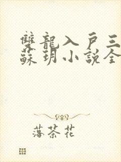 双龙入户三人行苏玥小说全文阅读