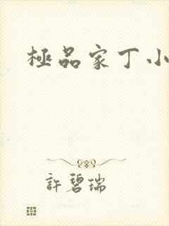 极品家丁小说