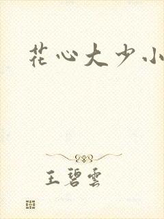 花心大少小说