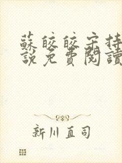 苏皎皎宋持的小说免费阅读