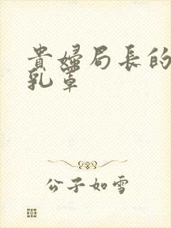 贵妇局长的蕾丝乳罩