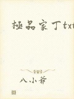 极品家丁txt