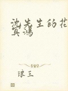 沈先生的花式调冥鸿