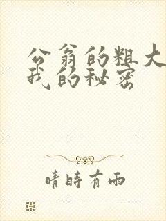 公翁的粗大放进我的秘密