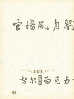 官场风月刘明强