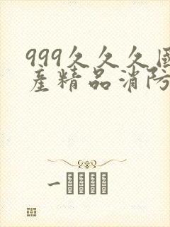 999久久久国产精品消防器材