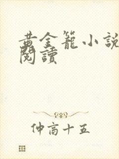 黄金笼小说免费阅读