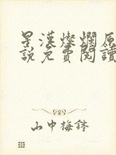 星汉灿烂原著小说免费阅读