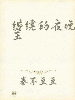 缠绕的夜晚双男主
