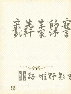 宋先生的宠妻计划轩家沐言