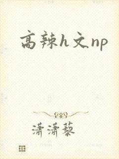 高辣h文np