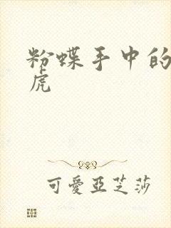 粉蝶手中的纸老虎