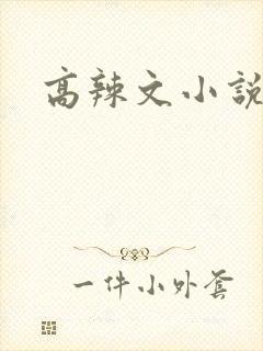 高辣文小说