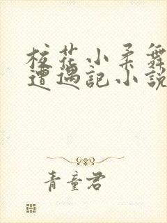 校花小柔舞蹈室遭遇记小说