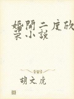 婚开二度欣欣向荣小说