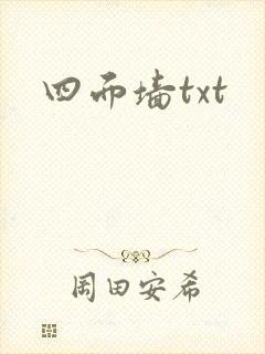 四面墙txt