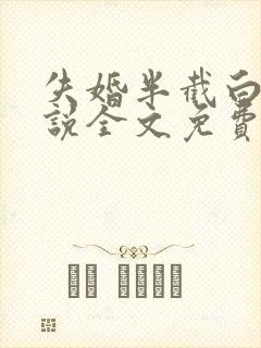 失婚半截白菜小说全文免费阅读