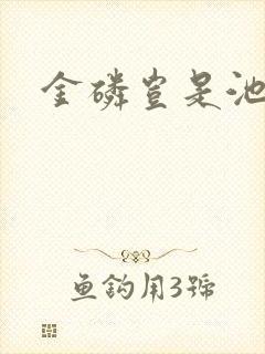 金磷岂是池中物