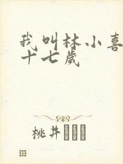 我叫林小喜今年十七岁